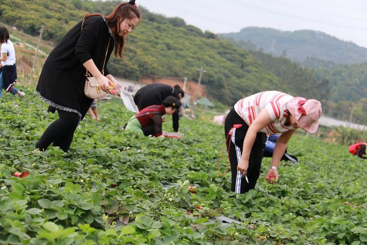 凯发·K8国际-(中国)首页登录_产品4515